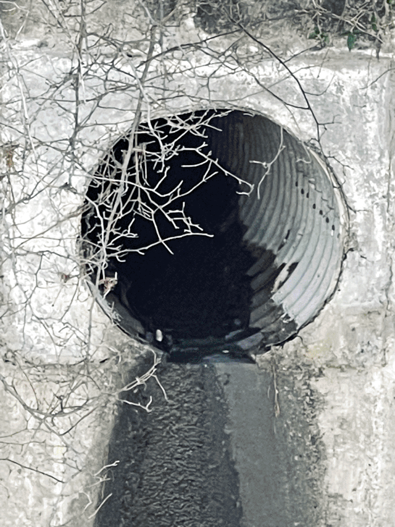 Storm Drain opening in concrete wall