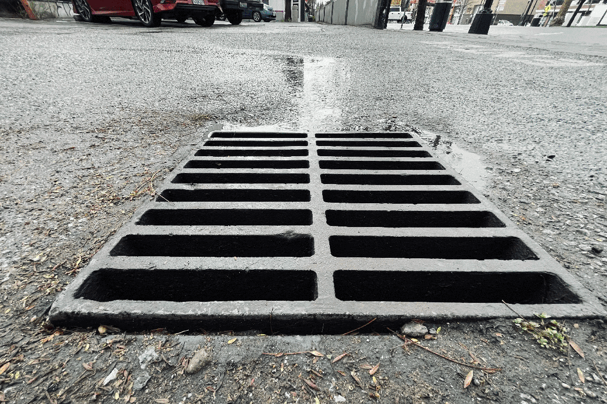 A storm drain grate in a wet parking lot