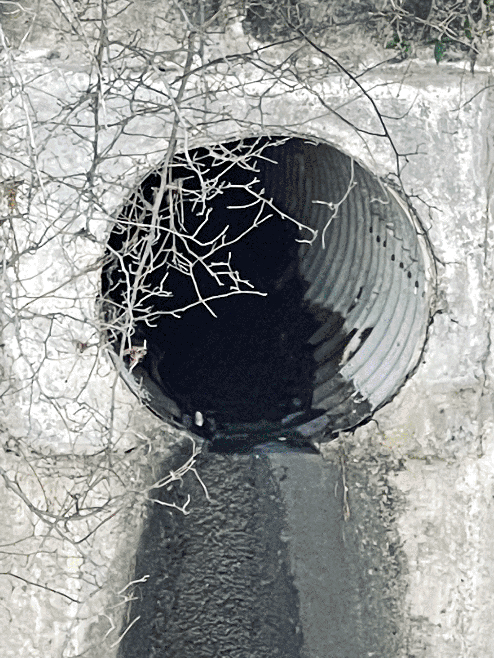 Storm Drain opening in concrete wall