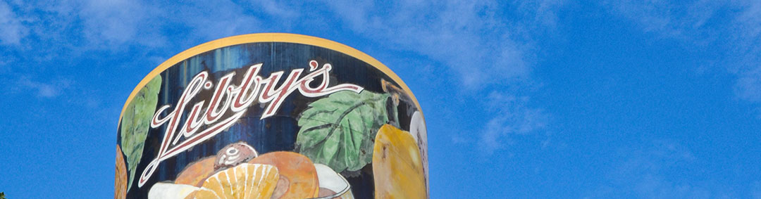 libby's tower sunnyvale california