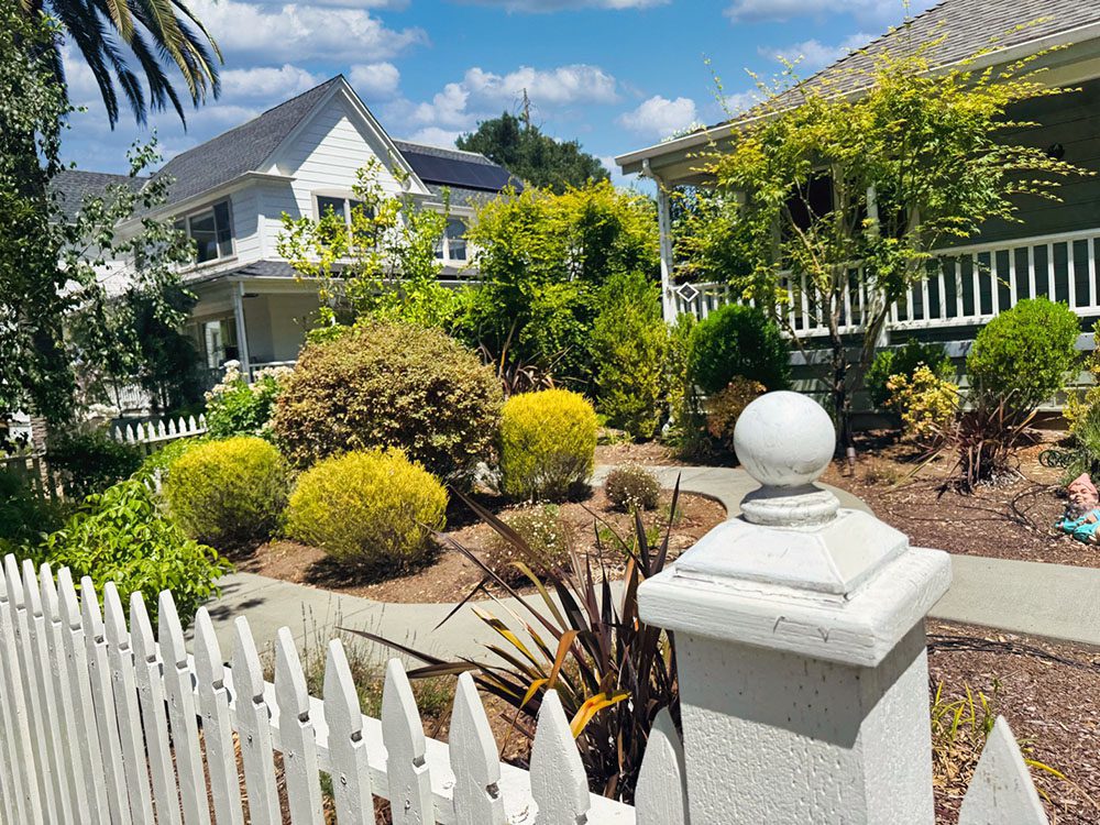 Los Gatos home sewage Los Gatos trenchless plumbing
